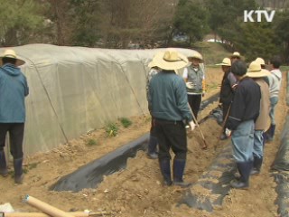 귀농귀촌 급증···상반기 8천700가구