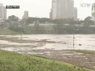 쓰레기장으로 변한 울산 태화강 둔치