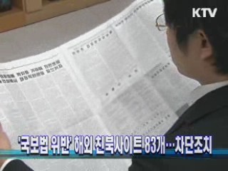 '국보법 위반' 해외 친북사이트 83개…차단조치