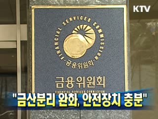 "금산분리 완화, 안전장치 충분"