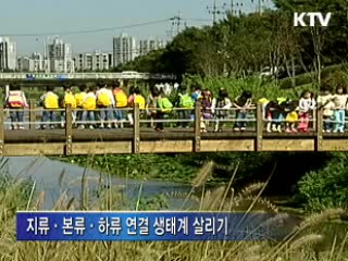 전국 하천 '지류·지천 정비' 시동