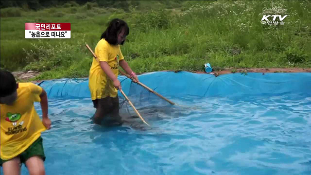 "한적하고 재미있는 농촌으로 떠나요" [국민리포트]