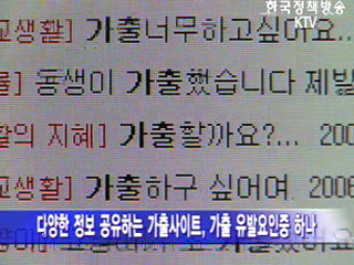 방학 중 청소년 유해업소 구인구직 사이트 증가