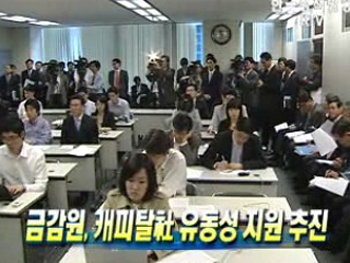 금감원, 캐피탈社 유동성 지원 추진