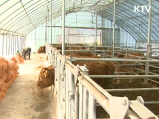 경북 봉화·영주서 구제역 발생