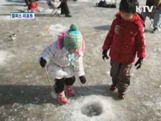 겨울 대표축제로 자리잡은 산천어축제