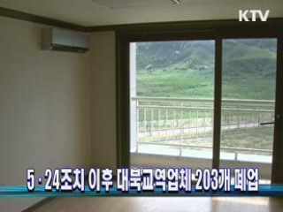 5·24조치 이후 대북교역업체 203개 폐업