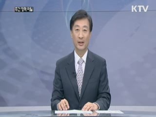 주간 정책 파일 (2회)