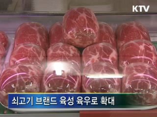 농식품부, 육우도 품질 장려금 지원