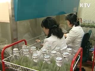 BK21 중간평가, 70개 사업 교체