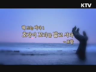 해 뜨는 바다1. 호랑이 꼬리를 밟고 서다 - 포항 [대동문화도]