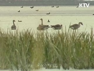 "영산강 침수 우려, 안전성 이미 검증"