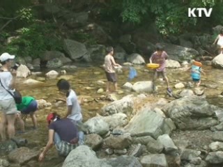 '여름휴가, 국립공원 계곡으로 오세요'