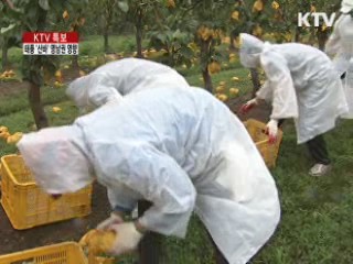 농작물 피해 비상···철저한 대비 필요