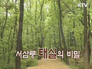 서삼릉 태실의 비밀 [헤리티지]