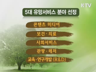 '일자리의 밭' 5대 서비스산업 육성