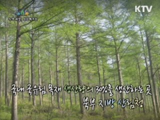 국내 국유림 목재 생산량의 30%를 생산하는 곳 북부 지방 산림청