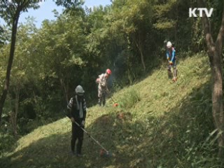 추석 앞두고 예초기 안전사고 '주의보'