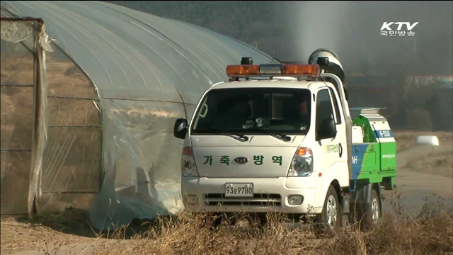 구제역·AI '소강 상태'…확산 방지 총력