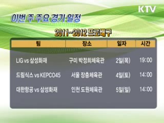 스포츠캘린더