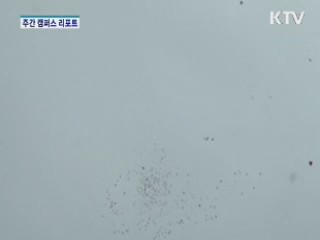 대보름 맞이…"강변에서 즐겨요"