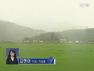 태풍 '덴빈' 전남 상륙…오늘 내륙 관통