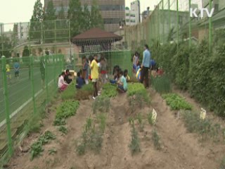 아이들과 함께 텃밭가꾸는 교장선생님