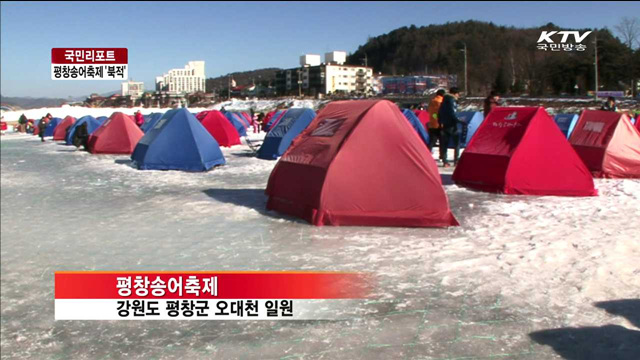 짜릿한 손맛, 2014 평창송어축제 [국민리포트]