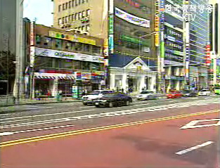 교통법규위반시 보험료 최고 20% 할증