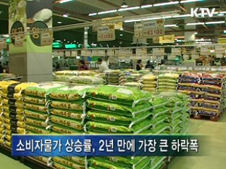 소비자물가 4개월 연속 둔화