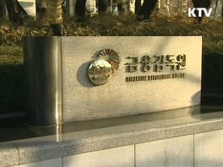 엔화대출 불법·부당행위 실태조사