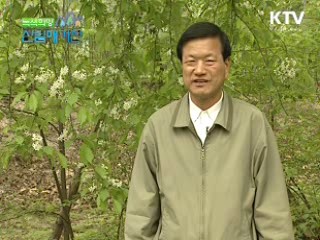 아홉마리 용에서 구름나무까지, 귀룽나무