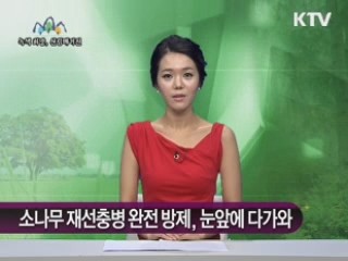 소나무 재선충병 완전 방제, 눈앞에 다가와