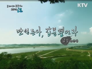 만선 든다. 갑문 열어라 - 금강(논산시)