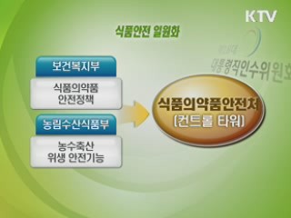 식품의약품 안전업무 '식약처'로 일원화