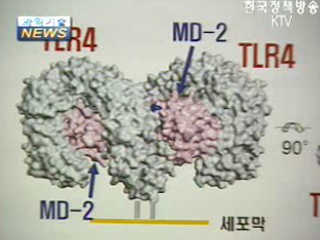 패혈증 유도물질 세계 최초 규명