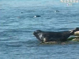 해양생태계 보전 관리 체계화