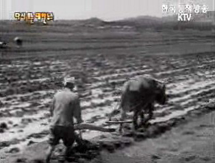농촌소식(`60)