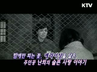 정창화 감독 '예라이샹' [KTV 시네마]