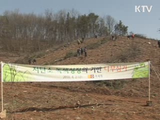 한마음 한뜻! 국세청 직원들의 나무심기 현장~