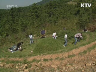 추석맞이 벌초중 '벌쏘임' 주의하세요!