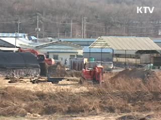 구제역 매몰지 사체 재처리 결정된 바 없어