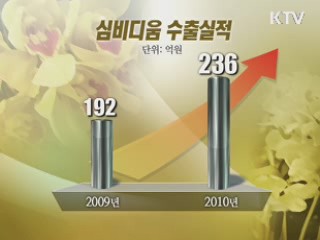 국산 난 '심비디움' 중국 대륙 사로잡다