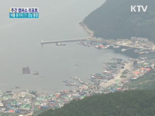 남해안 중심 도시 '통영'