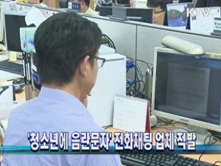 '청소년에 음란문자' 전화채팅 업체 적발