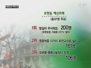 마을 예산 편성, 주민투표로 결정