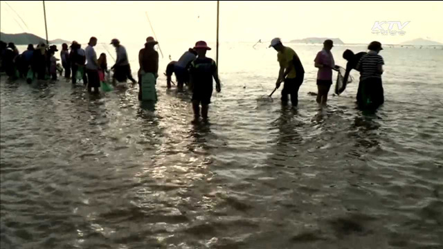1일부터 '관광주간'…"어촌 체험마을로 오세요"