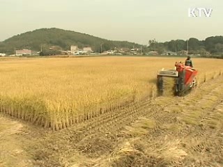 벼농사 신규 농업인 진입요건 등 완화