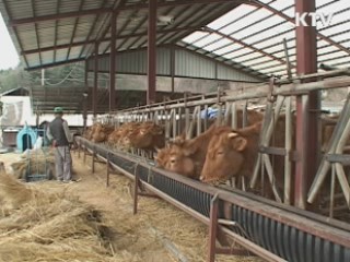 류성걸 재정차관 "구제역 예산 신속지원"