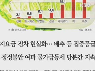 '물가 요주의 품목 선정, 6개월마다 조사' 사실 아냐